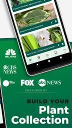 Download PlantSnap - Identify Plants, Flowers, Trees & More wallpapers 15