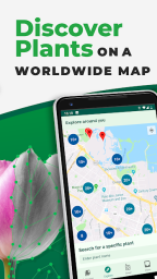 Download PlantSnap - Identify Plants, Flowers, Trees & More wallpapers 3