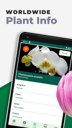 Download PlantSnap - Identify Plants, Flowers, Trees & More wallpapers 8