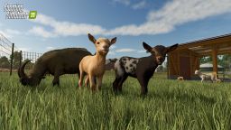 Download Farming Simulator 25 wallpapers 4