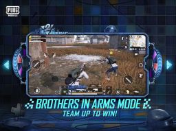 Download PUBG MOBILE wallpapers 22